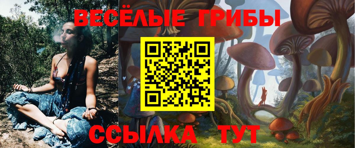 Псилоцибиновые грибы Psilocybine cubensis  Вход с VPN  дарнет шоп  Георгиевск 