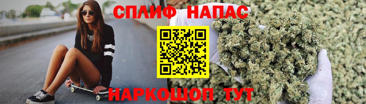 МАРИХУАНА план Георгиевск